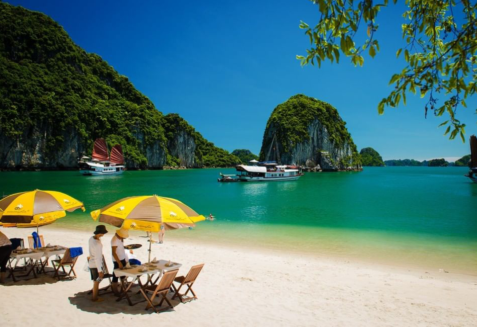 what to do in halong bay