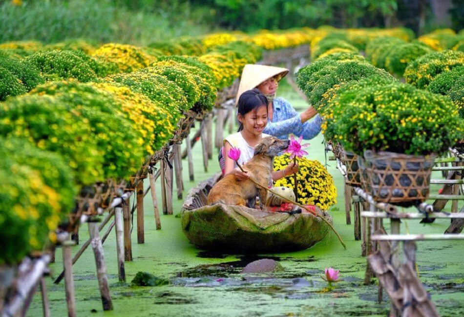 mekong delta flower