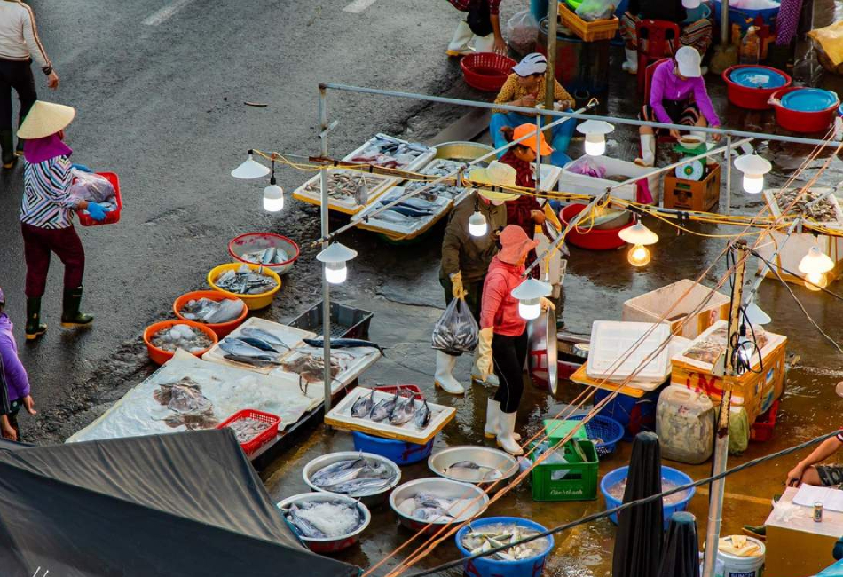thanh ha fish market